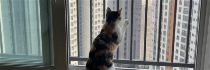 고양이 방충망 시공 사례